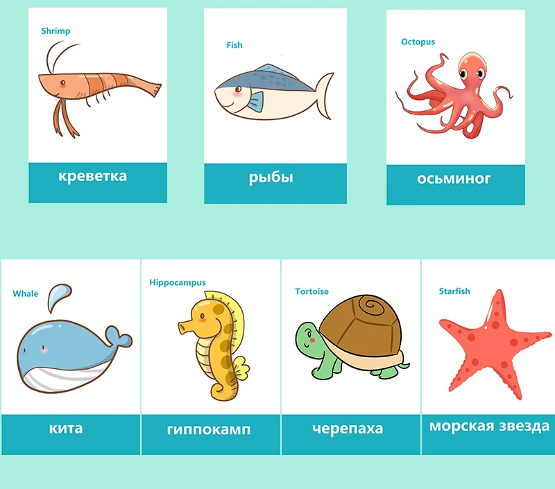 Cartões de Memória Flash para Crianças Sala de Aula Jogos de Memorie Frutas Legumes Aprendizagem Russa & Inglês Montessori Brinquedos Educativos 66 Pçs - Set 9 & Inglês Cartões de Memória Flash para
