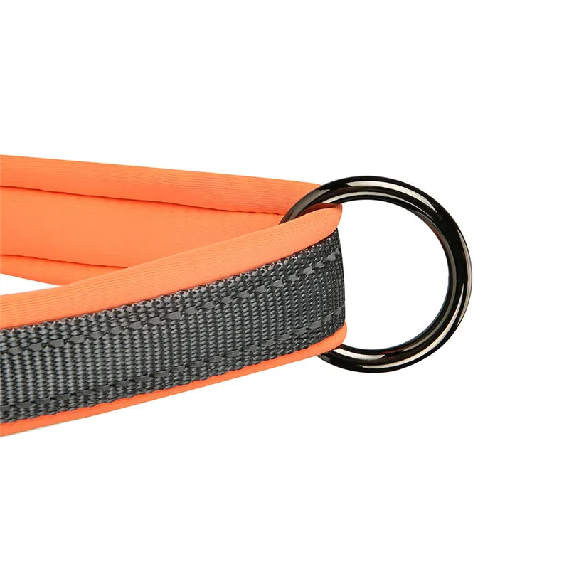 dog harness no pull (3)