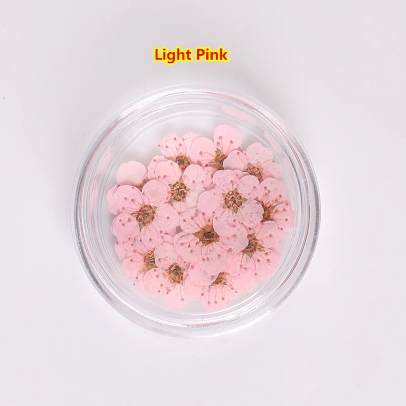 1 dried flower (1)