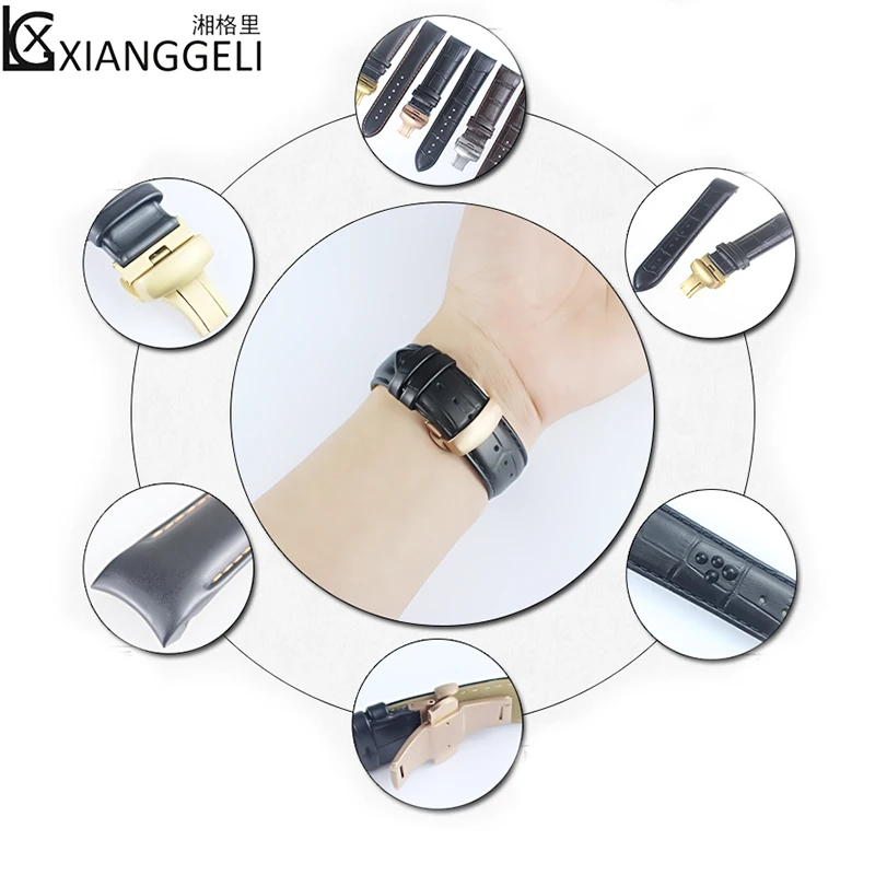 TB21_I_lH_I8KJjy1XaXXbsxpXa_!!3309067638