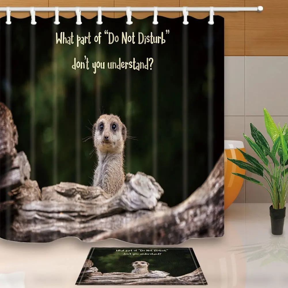 Waterproof Fabric Dinosaur Waterfall Lake Bathroom Decor Shower Curtain Hook Mat