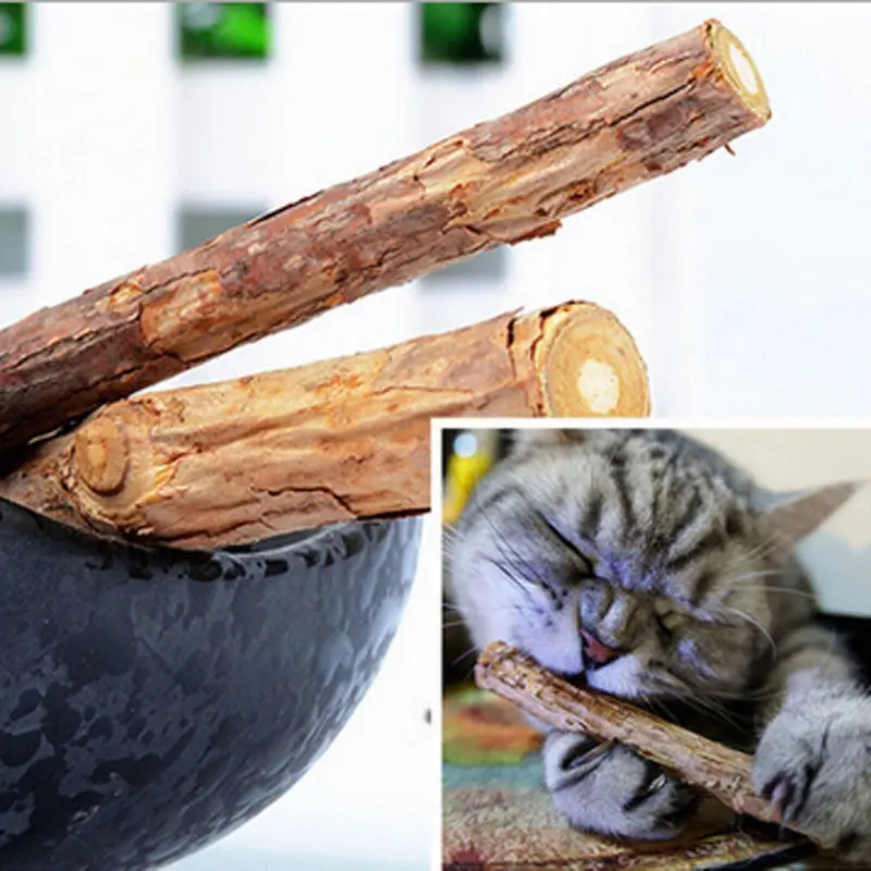 

5/10/15/20PCS Pure Natural Catnip Pet Cat Toy Molar Toothpaste Branch Cleaning Teeth Silvervine Cat Snacks Sticks Pet Supplies