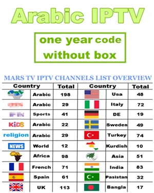 Подключение IPTV на арабском код 1200+ Live ТВ/1000 VOD с арабские африканские Швеция Великобритании Тунис Франция, Италия каналы ТВ abonnement - Цвет: 1 year code no box