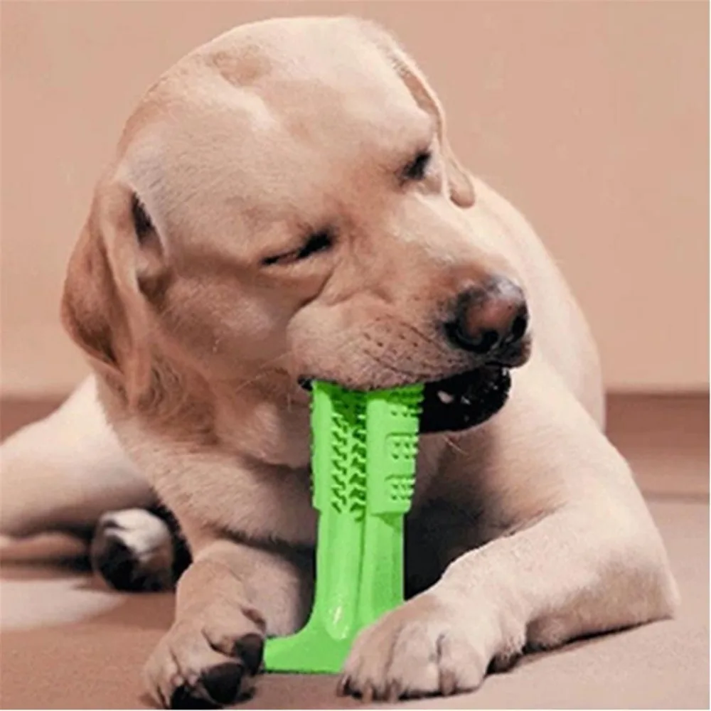 Dog Toothbrush font b pet b font toy font b pet b font dog chewing toy