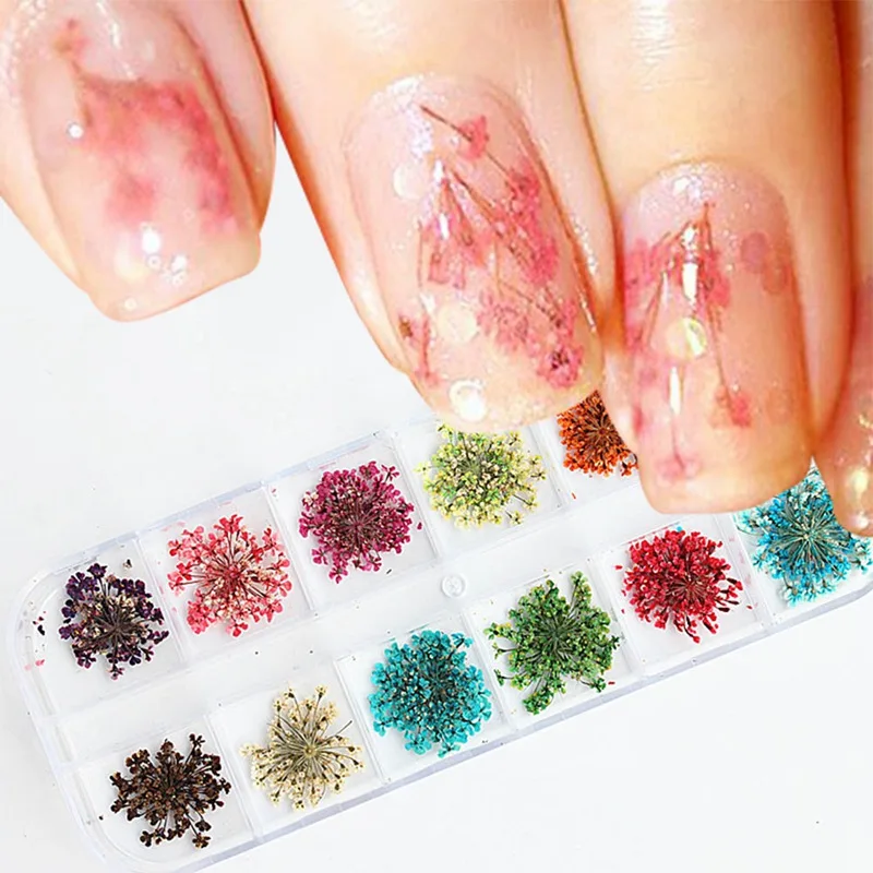 

1 box 12 Patterns 3D Dry Flowers Stickers Dried Nail Art Decoration DIY Manicure Tools wIth box nail polish decoration new