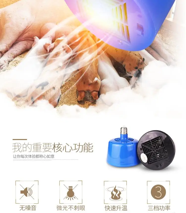 QQ20190302204119