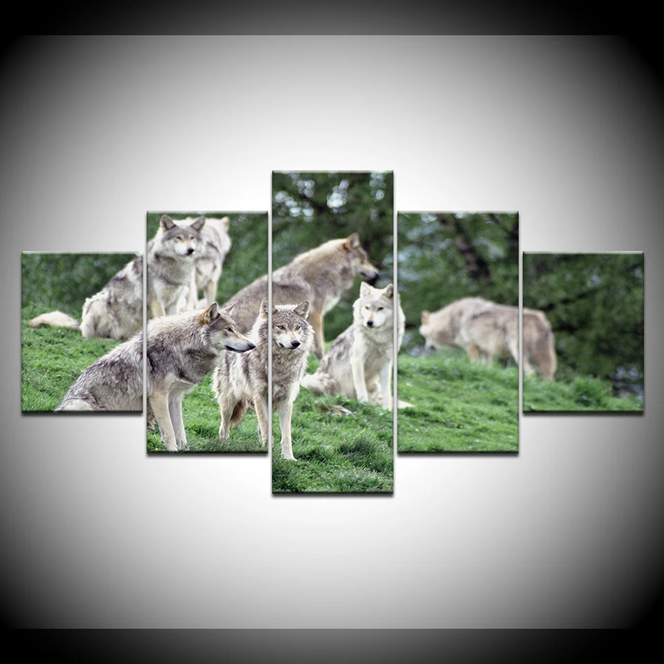 5 Pcs/Set Large Animals Three Lazy Wolves Canvas Print Painting Framed