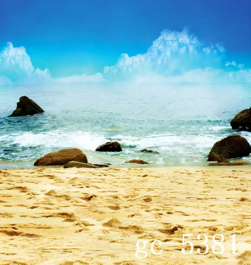 

3*5M Art Cloth Custom Photography Backdrops Prop Indoor theme Studio Background GC-5381