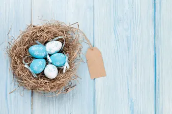 

LIFE MAGIC BOX Color Eggs Wood Board 200x150cm Wallpaper Background easter photo backdrops wood backdrop HJ02915