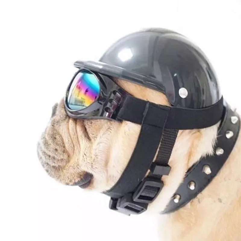 Cute Dog Hat Helmet+Aviator Sunglasses For Pet Cat Costume/Puppy Sport