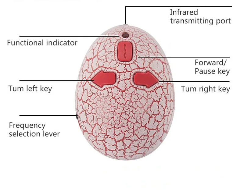 HTB1rTg1NpXXXXa5XpXXq6xXFXXXm