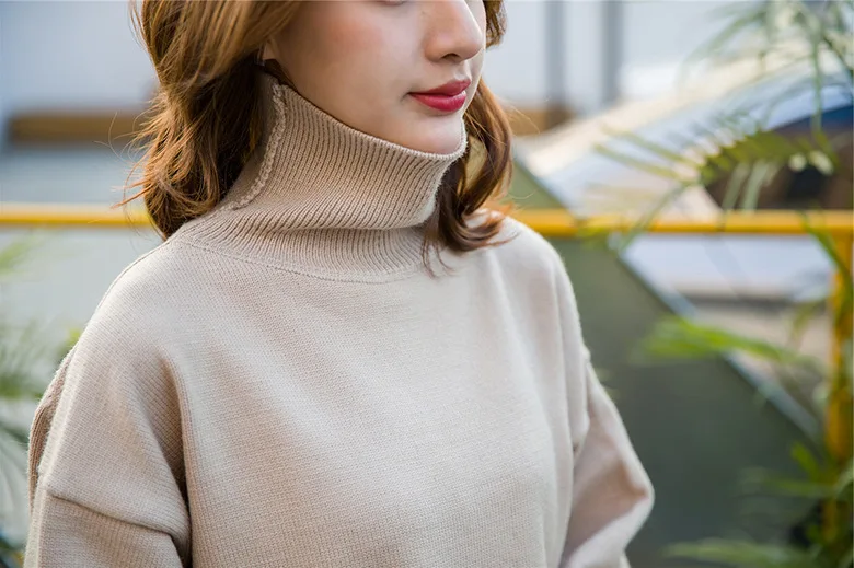 Aurtleneck Sweater Loose Solid Color Ladies Sweater 2019 New Pullover Large Size Thick Sweater Women Sweet Sweater Coat CH842 (22)