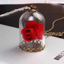 SG Beauty and the Beast Necklace Glass Covers Dry Flower Rose Mirror And Butterfly Necklace Pendant For Women Girl Jewelry chic dry flower necklace for women