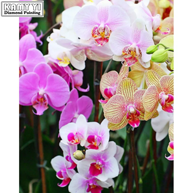 5D DIY Diamond Painting cross stitch orchid flowers kits Diamond Embroidery pattern Rhinestons 3d mosaic needlework_