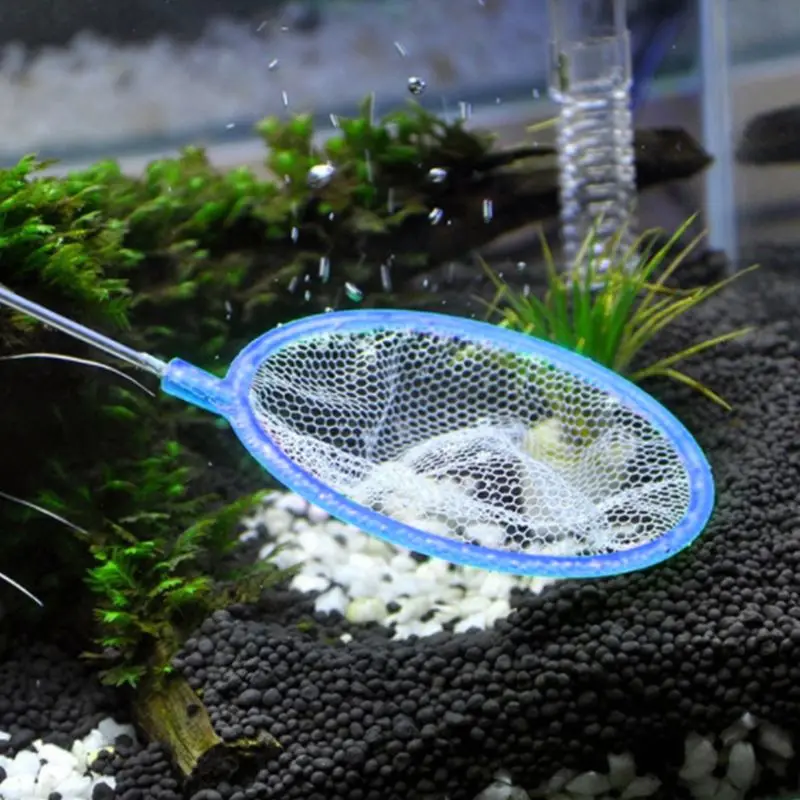 

5 Pcs/set Fish Net Artemia Filter Shrimp Mini Portable Fishing Fish Tank Aquarium Dense Mesh Small Pore Tool