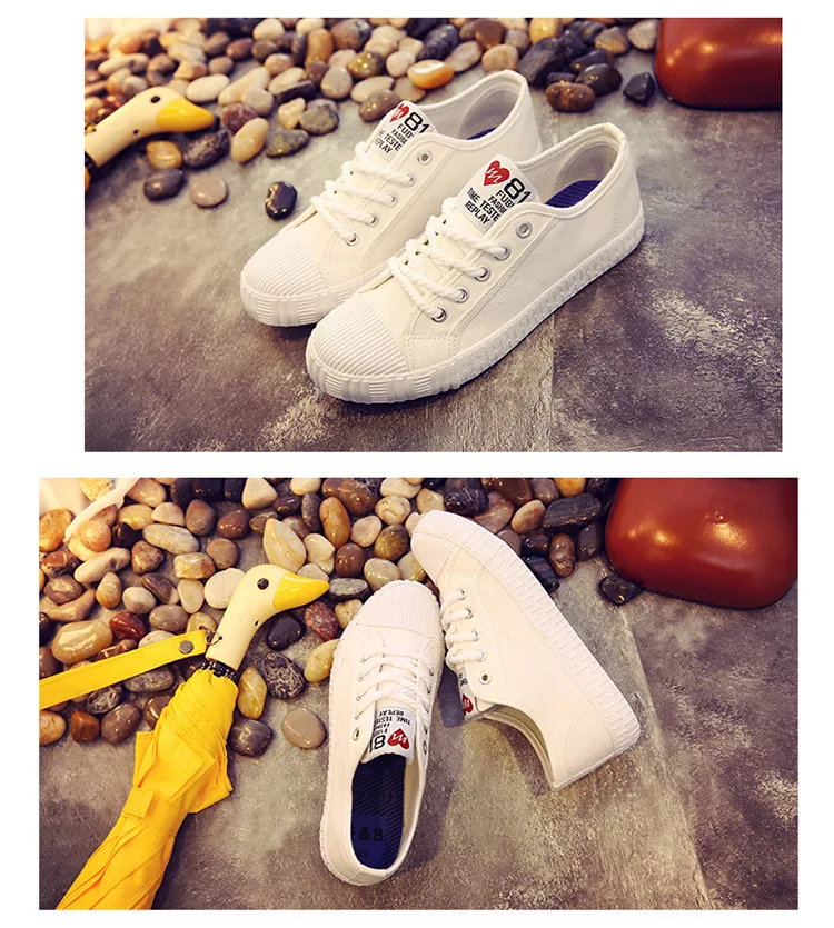 4103695902_2073054058