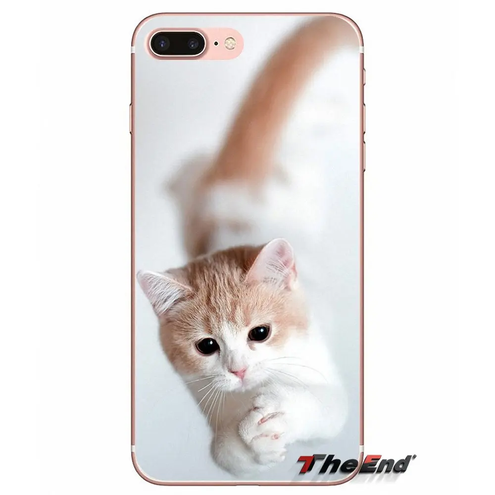 Для Apple iPhone X 4 4S 5 5S SE 5C 6 6S 7 8 Plus, 6 Plus, 7 plus, 8 plus, Fundas Coque довольно молитвы котята коты силиконовые чехол