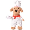Chef Suit