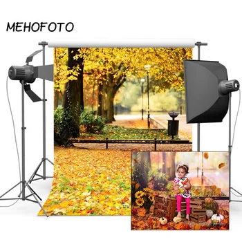 

Autumn Park Photography Backdrop Maple Leaf Path Fallen Leaves Fall Photo Background for Photo Studio Photoshoot Prop