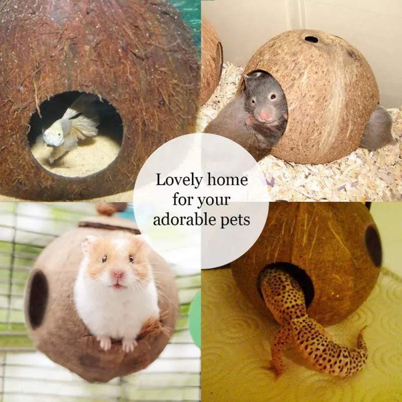 

Coco Bird Hut 3-Hole Natural Coconut Shell Bird Nest for Hiding Parrot Cage Decor for Small Animals Vogel SpeelgoedRandom Color