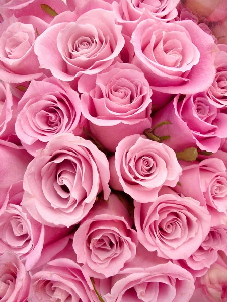 Color : C1, Size : 150x210cm Photography Screen Background 5x7ft Pink Romantic Valentines Day Theme Photography Background Cloth Rose Print Background Photography Background Cloth Color : C1, Size : 150x210cm Photography Screen Background 5x7ft Pink Romantic Valentines Day Theme Photography Background Cloth Rose Print Background Photography Background Cloth