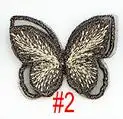 C2