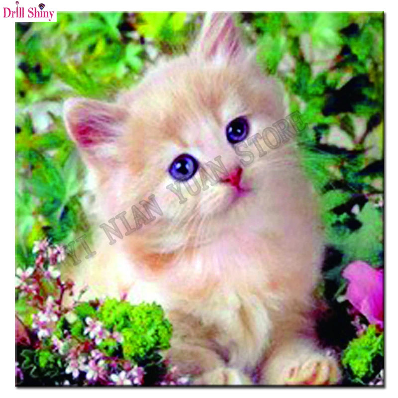 Цветок милый кот рукоделие Алмазная картина полный квадрат дрель вышивка