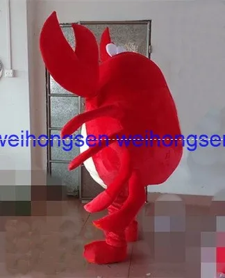 0244-2270
