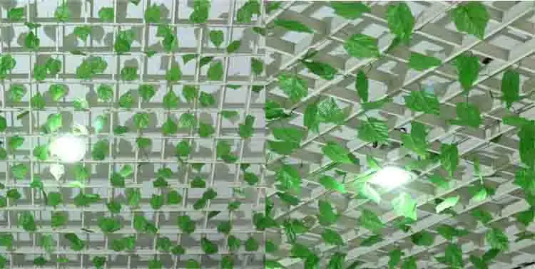 10362681338_1221198793