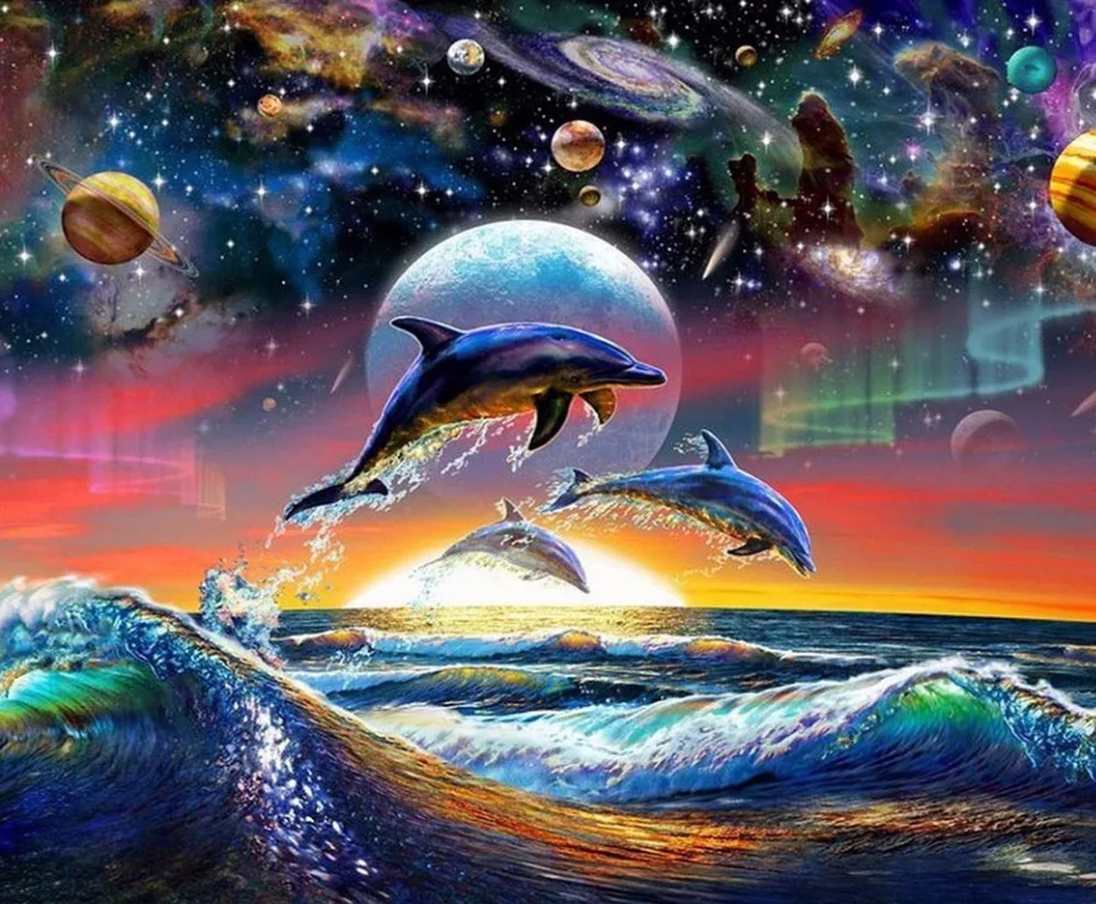 O-Dolphin-01(40x33)15306