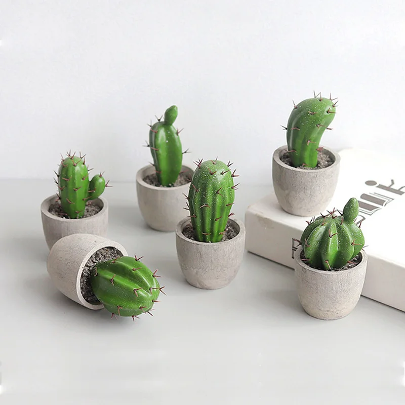 Мини Кактусы В Горшках Купить