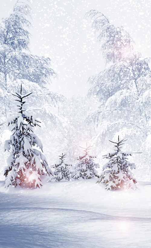 HUAYI Christmas Photography Backdrop Scenery Custom Photo Portrait Studios Background winter snow  backdrop XT4910