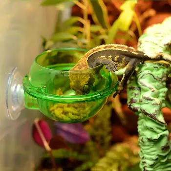 

Reptile Anti-escape Food Bowl Cup Turtle Lizard Worm Live Food Container