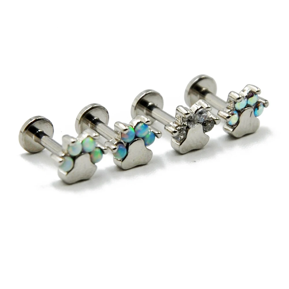 Ear-piercings-types-wiki