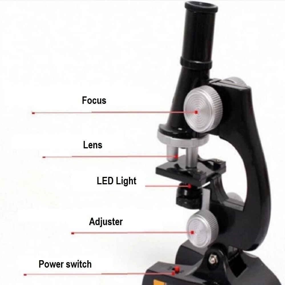 Playsmarte Kids Microscope 100X-400X (2)
