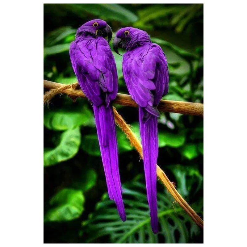 

5d diy full square drill diamond painting -Purple parrot-3d embroidery Realshining cross stitch 3d rhinestone mosaic