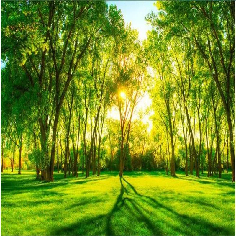 

3d large wall mural wallpaper HD Forest meadow morning ray of sunshine backdrop custom silk photo wall paper