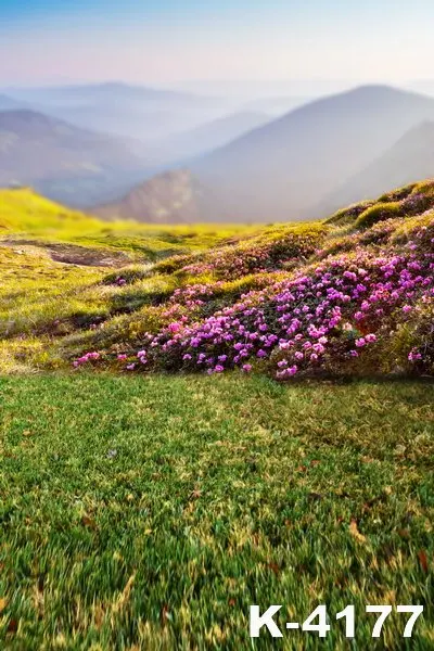 Outdoor font b Photo b font Background 150x200cm Photography Props Blanket Purple Flowers Hazy Mountains Fantasy