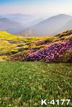 Outdoor font b Photo b font Background 150x200cm Photography Props Blanket Purple Flowers Hazy Mountains Fantasy