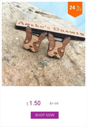 dianxiaobao