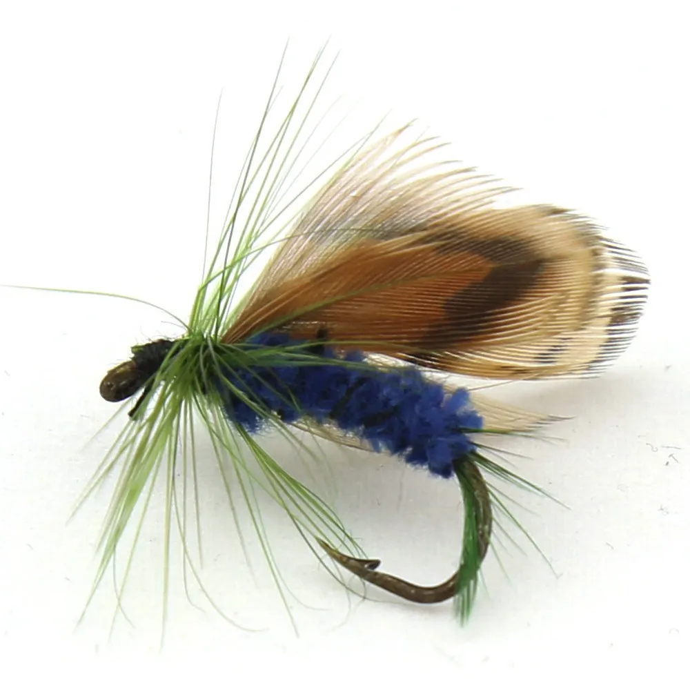 FS037-(2)