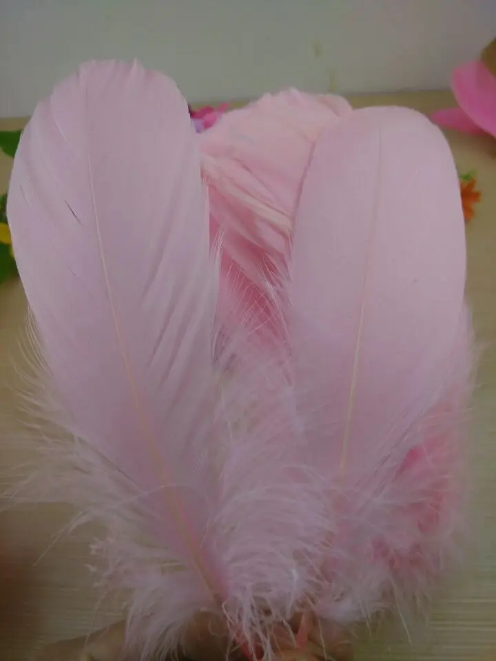 Новинка! Натуральные гусиные перья 5 7 дюймов/13 18 см 20 шт.|goose feathers|feather wholesalerswholesale