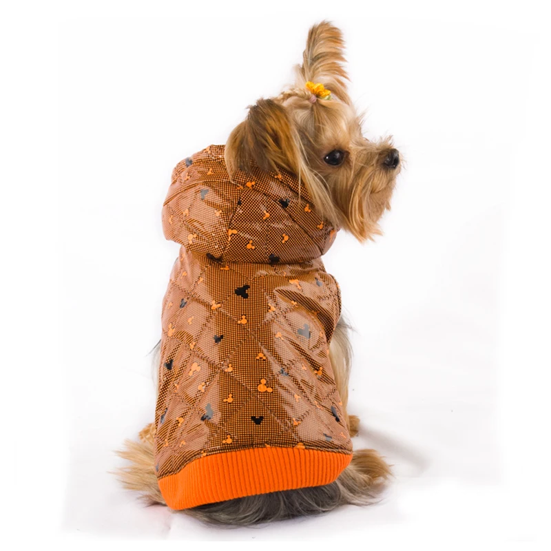 04 dog coat 