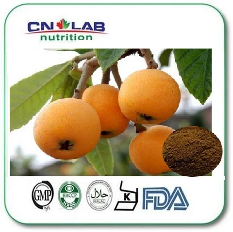 High quality Factory supply of the Loquat Extract powder 1000g for sale