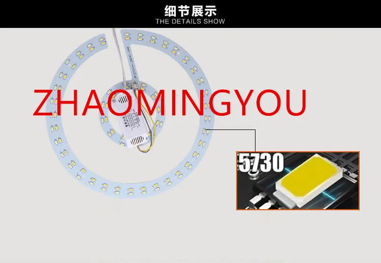 SMD 5730 LED 원형 천장 보드, 원형 램프 보드, LED 링 패널, AC220V, 6W, 12W, 15W, 18W, 24W, 36W, 80W, 100W