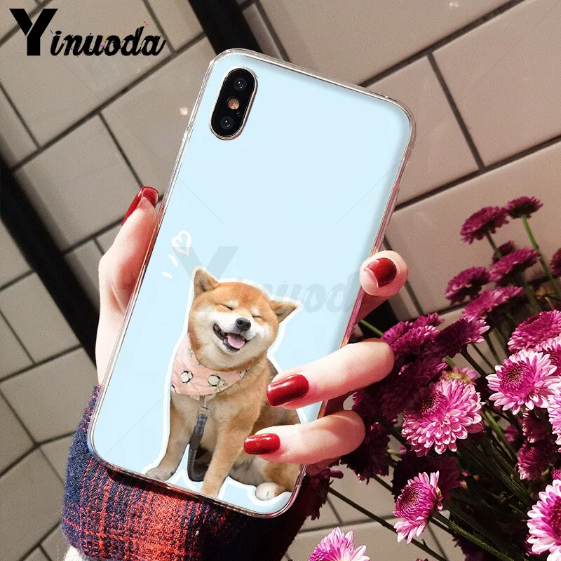 Animal Shiba Inu