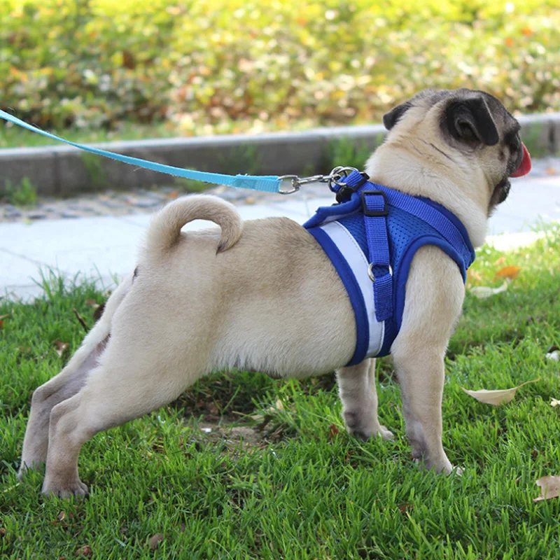 1pc/set Pet Dog Chest Strap Leash Adjustable Soft Breathable Dog Harness Nylon Mesh Vest Harness for Dogs Puppy Collar Jacket 1pc/set Pet Dog Chest Strap Leash Adjustable Soft Breathable Dog Harness Nylon Mesh Vest Harness for Dogs Puppy Collar Jacket