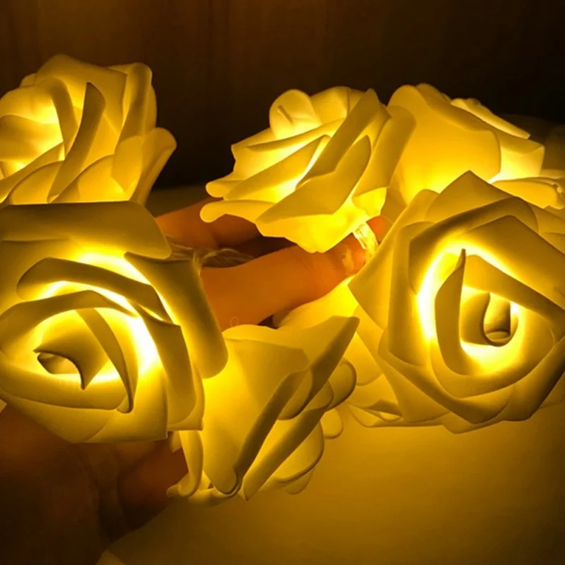 TE0013W(4)