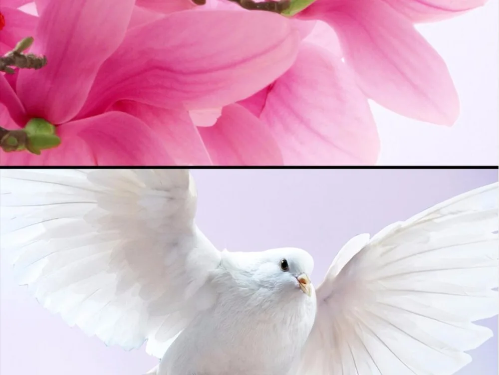QQ20170316125841