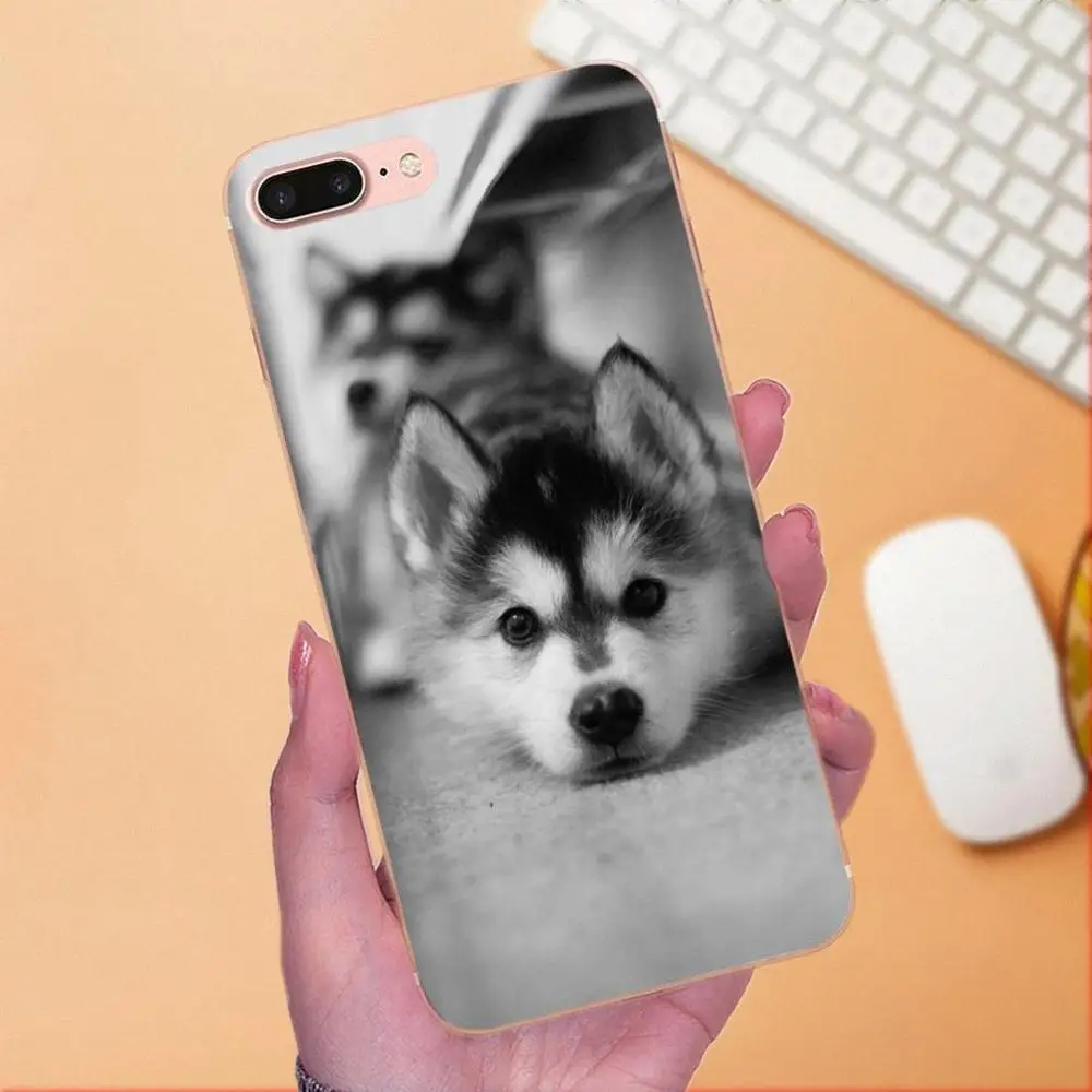 Мягкий художественный чехол для Xiaomi Redmi Note 2 3 3S 4 4A 4X 5 5A 6 6A Pro Plus Husky Dog